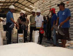 Bupati Brebes Sidak Gudang Bulog Antisipasi Peredaran Beras Oplosan