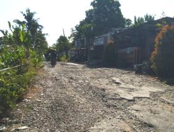 Dikeluhkan Warga, Jalan Cinanas–Kalijambe di Brebes Rusak Parah Selama 15 Tahun