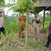 Tambakserang Tanam Sacha Inchi untuk Ketahanan Pangan dan Ekonomi Warga