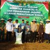 Polres Tegal Gandeng Poktan dan Perhutani Tanam Jagung Aerotik