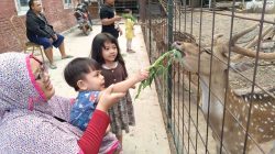 Rusa Tutul Punya Sidik Jari? Meloncat Setinggi 3 Meter dan Melompat 10 Meter