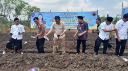 BP Taskin Serahkan Bantuan 1.000 Bibit Pepaya Caifornia