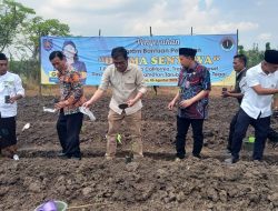 BP Taskin Serahkan Bantuan 1.000 Bibit Pepaya Caifornia