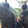 Meriahkan HUT RI, Berbagai Satwa Ikuti Upacara Bendera 
