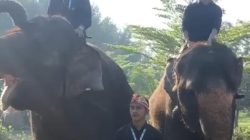 Meriahkan HUT RI, Berbagai Satwa Ikuti Upacara Bendera 