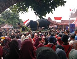 Semarak Karnaval Di Desa Pangkah, Warga Tampilkan Patung Raksasa Macan Kumbang Hingga Atraksi Tari Jaranan