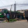 DLH Kota Tegal Rutin Lakukan Perambasan Pohon Jelang Musim Hujan