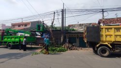 DLH Kota Tegal Rutin Lakukan Perambasan Pohon Jelang Musim Hujan