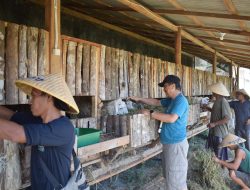 Usai Pensiun Jadi Sekda Tegal, Dokter Joko Geluti Dunia Budidaya Ikan Lele dan Ternak Kambing