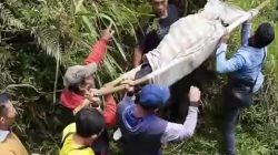 Motor Rem Blong di Jalur Wisata Kaligua Brebes, Pelajar SMK Tewas