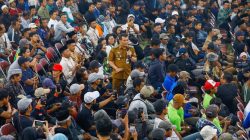 Ahmad Luthfi Dorong Champion Cabe Kawal Harga Stabil dan Petani Sejahtera