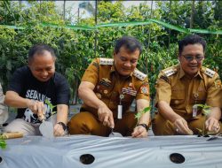 Gubernur Ahmad Luthfi Dorong Kesejahteraan Petani, Harga Cabai Tetap Menguntungkan