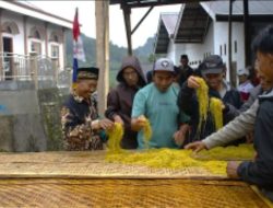 Budidaya Tembakau Terus Dikembangkan di Tegal