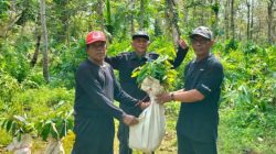 Pengadaan Bibit Rp 1,8 Miliar di DLH Brebes Disorot, Pampera: Jangan Hanya Seremoni!