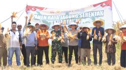 Panen Raya Jagung Serentak, Polres Tegal Dukung Ketahanan Pangan Nasional