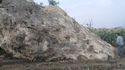 Penemuan Batu Meteor di Desa Jatilaba Tegal Viral, Ternyata Ada Juga Meteor Berusia Ratusan Tahun di Desa Ini