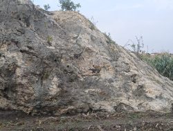 Penemuan Batu Meteor di Desa Jatilaba Tegal Viral, Ternyata Ada Juga Meteor Berusia Ratusan Tahun di Desa Ini