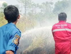 Kebakaran Lahan di Trayeman, Kasatpol PP Kabupaten Tegal Ingatkan Ini