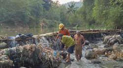 Bendung Jembat di Pruwatan Brebes Rusak Tiga Tahun, 148 Hektare Sawah Kekeringan