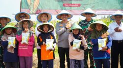 Polres Tegal Tanam Jagung Serentak untuk Dukung Ketahanan Pangan