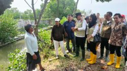 Dedy Yon Tinjau Rob Muarareja, Siapkan Pintu Air dan Normalisasi Sungai