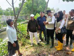 Dedy Yon Tinjau Rob Muarareja, Siapkan Pintu Air dan Normalisasi Sungai