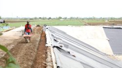 Penguatan Pangan Regional, Pemprov Jateng Genjot Pembangunan 10 Fasilitas Penampung Air