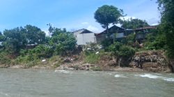 Ratusan Rumah Terancam Erosi Sungai Pemali di Pengarasan Bantarkawung
