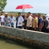 Rob Hilangkan Ratusan Hektare Sawah, Tanggul Laut Pantura Diminta Jadi Prioritas