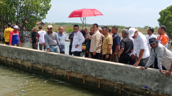 Rob Hilangkan Ratusan Hektare Sawah, Tanggul Laut Pantura Diminta Jadi Prioritas