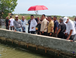 Rob Hilangkan Ratusan Hektare Sawah, Tanggul Laut Pantura Diminta Jadi Prioritas