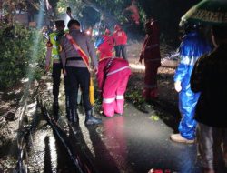 Cuaca Ekstrem, Warga Diimbau Waspada Pohon Tumbang