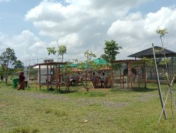 Tanpa Tiket Masuk, Inilah Tempat Edukasi Wisata di Tegal