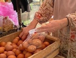 Di Lebaksiu Harga Telur Menjelang Nataru Naik, Ini Faktornya