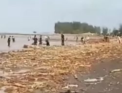 Pantai Larangan Tegal Dipenuhi Kayu dan Pipa, Diduga Dampak Banjir Bandang Guci