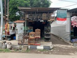 Inilah Burung Hias yang Paling Diminati di Kota Tegal