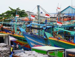 Cuaca Laut Memburuk Nelayan Tegal Diminta Tidak Ambil Risiko
