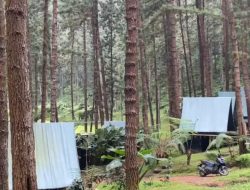 Ingin Tenang Sejenak, Rumah Angsa Guci Tegal Bisa Jadi Pilihan Liburan Akhir Pekan