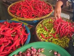 Harga Cabai Rawit Merah di Tegal Meroket, Sentuh Rp 55 Ribu per Kilogram