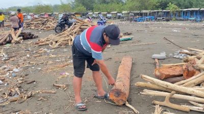 Warga Pantai Larangan Tegal Kebanjiran Rezeki, Kayu Lereng Gunung Slamet Dijual Rp150 Ribu/Pikup