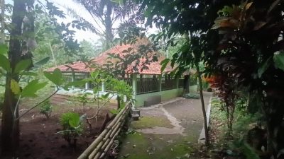 Misteri Makam Dawa Galuh Timur, Dari Makom Hingga Bukti Kerajaan Tua di Brebes