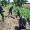 TMMD Sengkuyung Kodim Pemalang Garap Pembuatan Talud