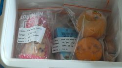 Dinkes Kota Tegal Periksa SPPG dan Perketat Pengawasan