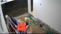 Warga Diminta Waspada, Pencuri Pakaian Dalam Terekam CCTV di Bumiayu