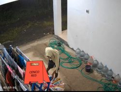 Warga Diminta Waspada, Pencuri Pakaian Dalam Terekam CCTV di Bumiayu