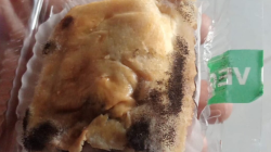 Roti dan Bolen Menu MBG di Brebes Ditemukan Berjamur
