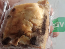 Roti dan Bolen Menu MBG di Brebes Ditemukan Berjamur