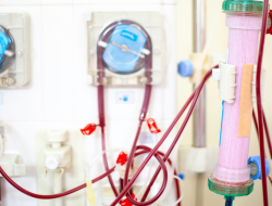 Apa Itu BPJS PBI? Kasus Pasien Gagal Ginjal Viral di Media Sosial