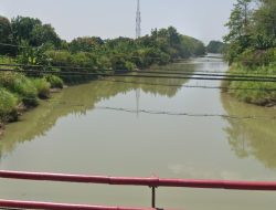 Sejarah Sungai Ciranggarung, Ada Sejak Zaman Prasejarah Berperan Penting