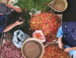 Harga Cabai Rawit Merah Tembus Rp70.000 per Kilogram, Warga Bumiayu Mulai Berhemat Jelang Ramadan
